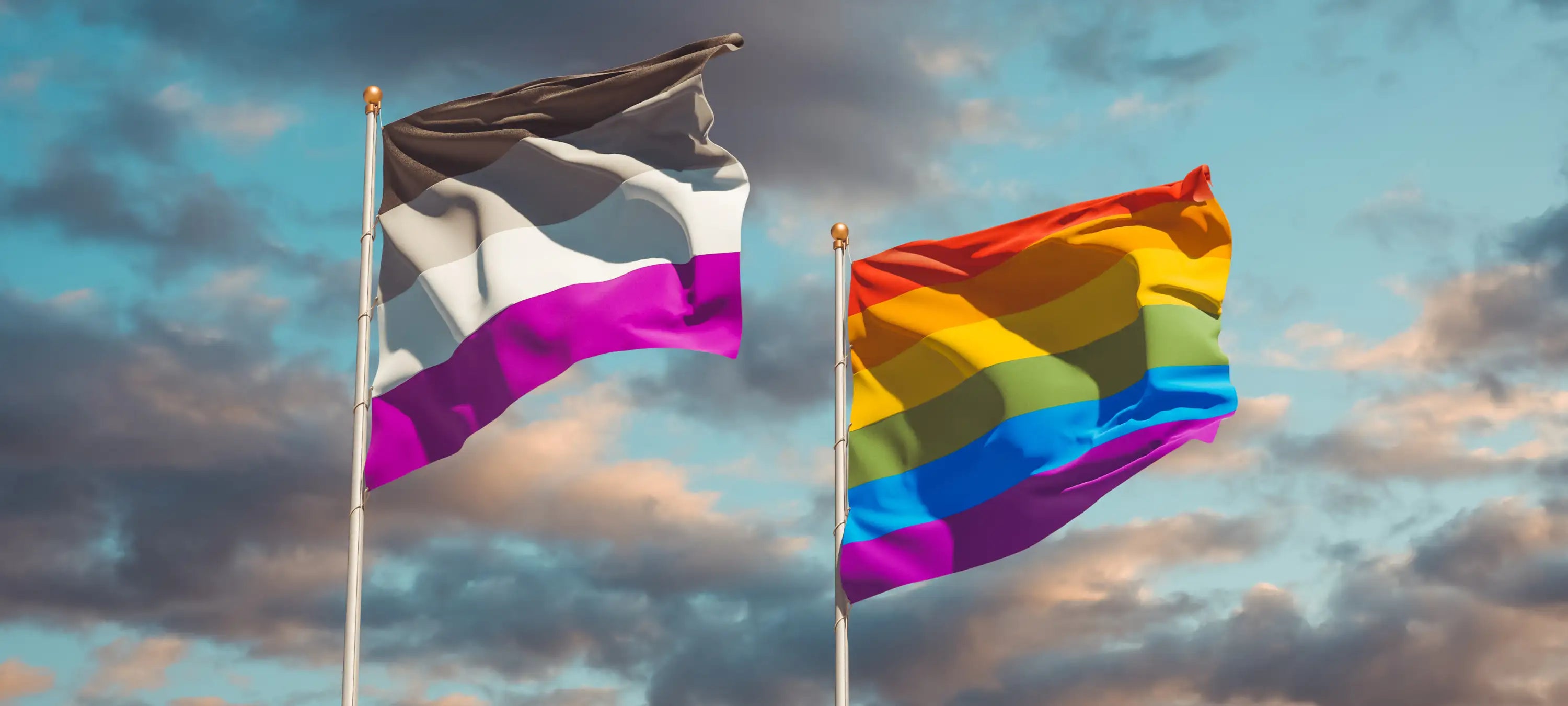 Es sind die LGBTQ+ Flagge und die für Asexualität abgebildet.