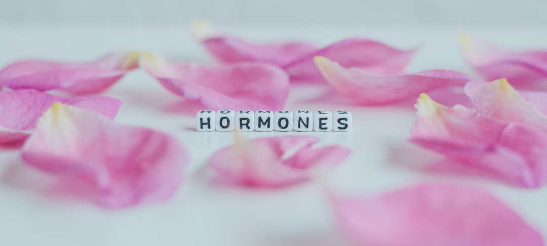 Hormonregulierung: Wie die Ernährung Zyklusbeschwerden beeinflusst