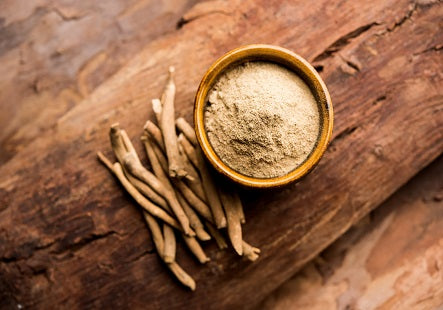 Natürliches Ashwagandha kommt aus dem Ayurvedischen und wird auch Schlafbeere genannt.