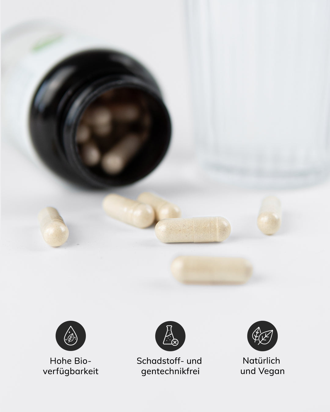 Meno Balance | mit Macawurzel & Vitamin B6