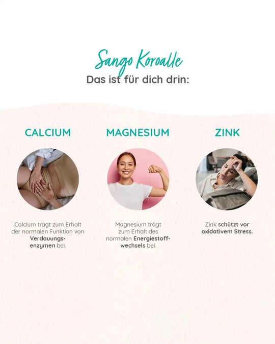 Basische Kapseln mit Kalzium, Magnesium und Zink zur Unterstützung von Verdauung und Stressschutz.