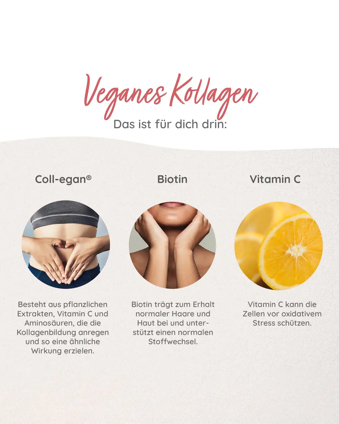 Die MYLILY Kollagen Kapseln enthalten Coll-egan®, Biotin und Vitamin- C.