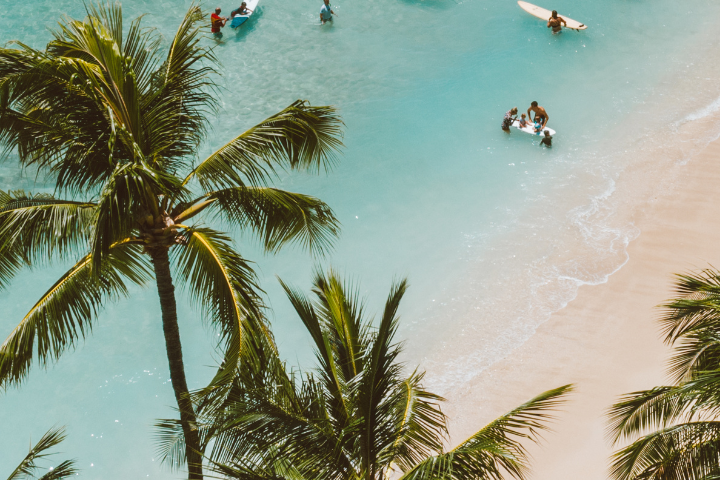 Ein Strand mit Meer in dem Menschen stehen und Palmen im Vordergrund