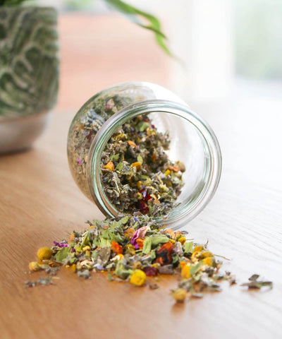 So sieht der MYLILY Wechselwunder Bio-Tee mit Lavendel, Salbeiblättern und Kamille aus. Heiß aufbrühen und genießen.